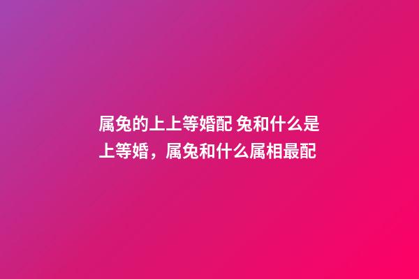 属兔的上上等婚配 兔和什么是上等婚，属兔和什么属相最配-第1张-观点-玄机派